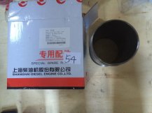 SHANGCHAI 54